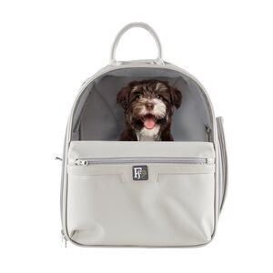 Friends 4ever Pet Carrier Backpack - Gray